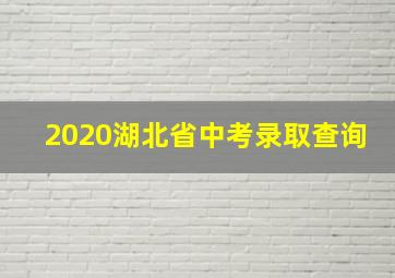 2020湖北省中考录取查询