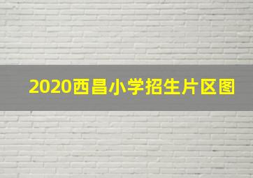 2020西昌小学招生片区图