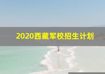 2020西藏军校招生计划