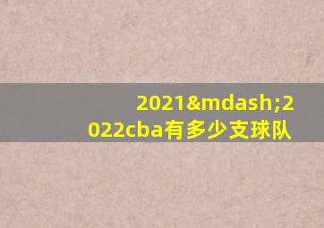 2021—2022cba有多少支球队