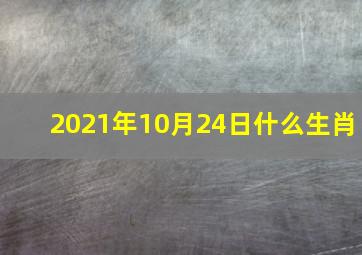 2021年10月24日什么生肖