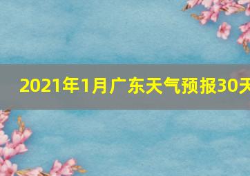 2021年1月广东天气预报30天