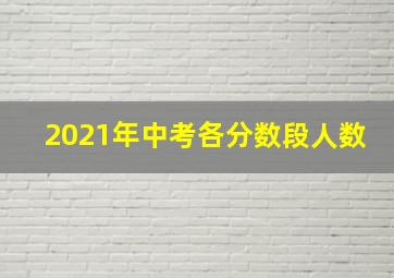 2021年中考各分数段人数