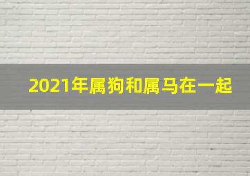 2021年属狗和属马在一起