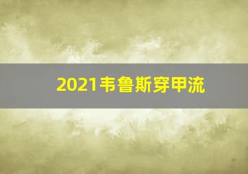 2021韦鲁斯穿甲流