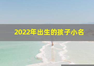 2022年出生的孩子小名