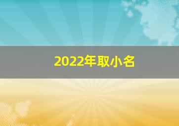 2022年取小名