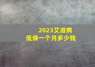 2023艾滋病低保一个月多少钱