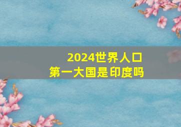 2024世界人口第一大国是印度吗