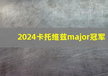 2024卡托维兹major冠军