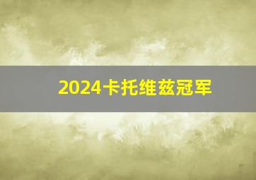 2024卡托维兹冠军