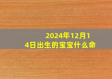 2024年12月14日出生的宝宝什么命