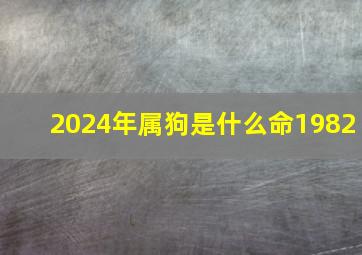 2024年属狗是什么命1982