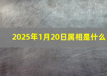 2025年1月20日属相是什么