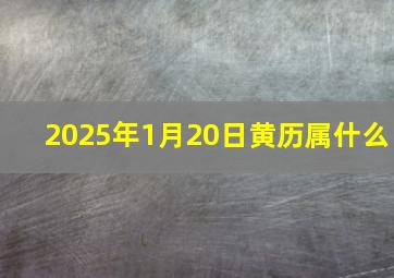 2025年1月20日黄历属什么