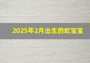 2025年2月出生的蛇宝宝