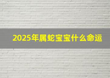 2025年属蛇宝宝什么命运