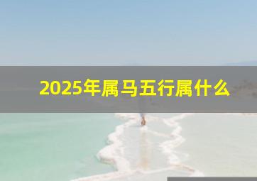 2025年属马五行属什么