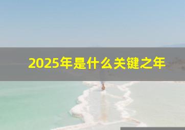 2025年是什么关键之年