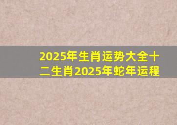 2025年生肖运势大全十二生肖2025年蛇年运程