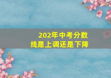 202年中考分数线是上调还是下降