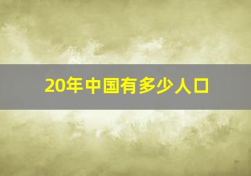 20年中国有多少人口