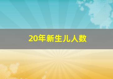 20年新生儿人数