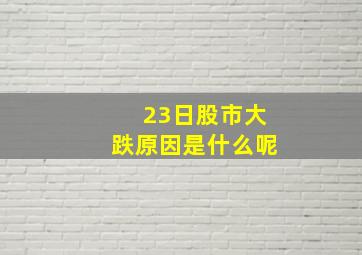 23日股市大跌原因是什么呢