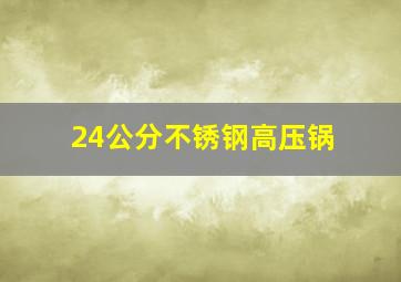 24公分不锈钢高压锅