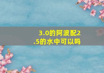 3.0的阿波配2.5的水中可以吗