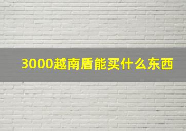 3000越南盾能买什么东西