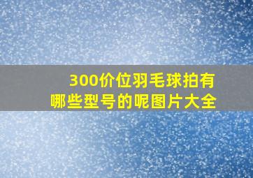 300价位羽毛球拍有哪些型号的呢图片大全