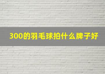 300的羽毛球拍什么牌子好