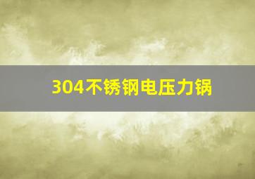 304不锈钢电压力锅