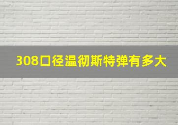 308口径温彻斯特弹有多大