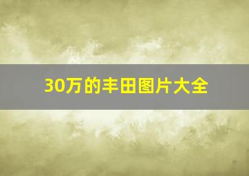 30万的丰田图片大全