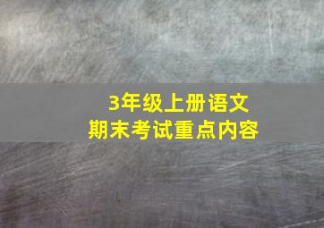 3年级上册语文期末考试重点内容