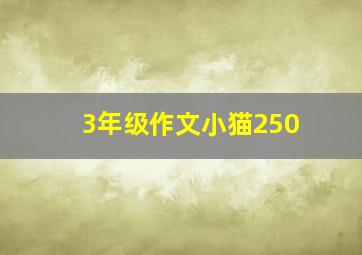 3年级作文小猫250