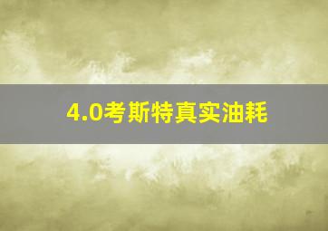 4.0考斯特真实油耗