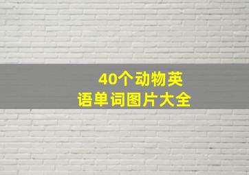 40个动物英语单词图片大全