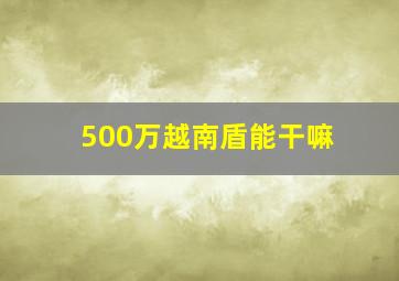 500万越南盾能干嘛