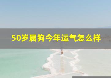 50岁属狗今年运气怎么样