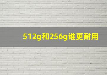 512g和256g谁更耐用