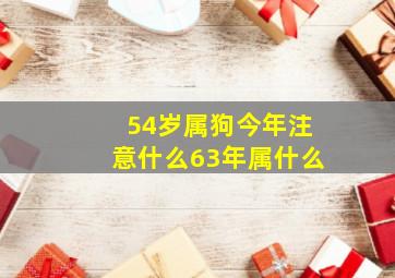 54岁属狗今年注意什么63年属什么