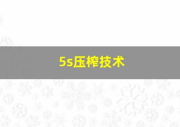 5s压榨技术