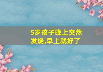 5岁孩子晚上突然发烧,早上就好了