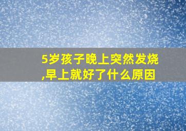 5岁孩子晚上突然发烧,早上就好了什么原因