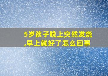 5岁孩子晚上突然发烧,早上就好了怎么回事