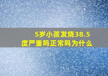 5岁小孩发烧38.5度严重吗正常吗为什么