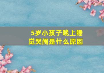 5岁小孩子晚上睡觉哭闹是什么原因